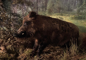 Wycieczka do Nadleśnictwa Grodziec - grupa VII