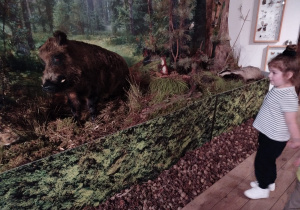 Świętujemy Dzień Dziecka w gr. XII