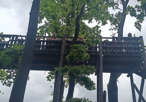 Świętujemy Dzień Dziecka w gr. XII