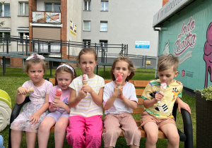 Zdjęcie 17 na 35