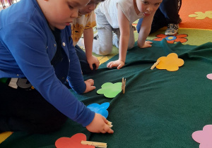 Innowacja pedagogiczna – grupa IV