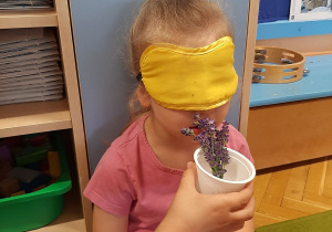 Innowacja pedagogiczna – grupa IV