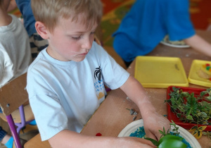 Innowacja pedagogiczna – grupa IV