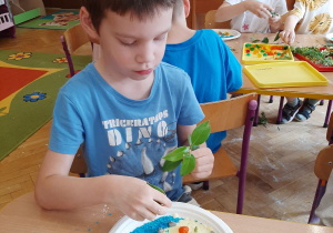 Innowacja pedagogiczna – grupa IV