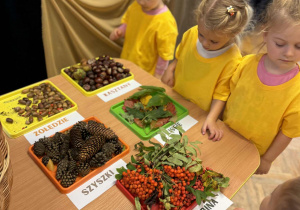 Witamy Panią Jesień w grupie VII