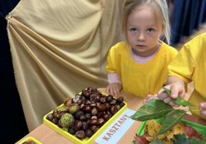 Witamy Panią Jesień w grupie VII