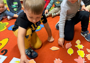 „Dotykam, słucham, czuję – jesień”