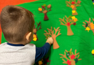 „Dotykam, słucham, czuję – jesień”