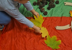 „Dotykam, słucham, czuję – jesień”