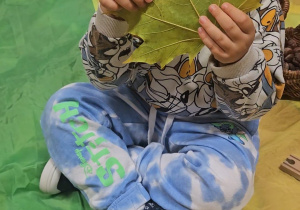 „Dotykam, słucham, czuję – jesień”