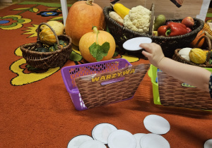 „Dotykam, słucham, czuję – jesień”