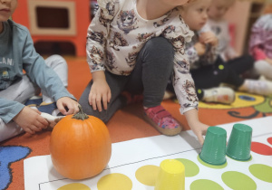 Kodowanie z kubeczkami – Code Week w grupie VII