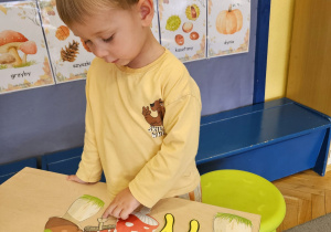 Code Week w maluszkach- grupa I