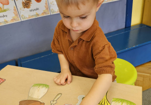 Code Week w maluszkach- grupa I