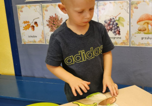 Code Week w maluszkach- grupa I