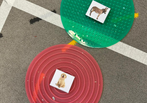 Mindfulness w naszej grupie