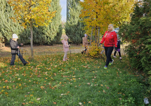 „Kijki w małych rączkach” – Nordic Walking dla przedszkolaków – gr. IV