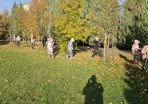 „Kijki w małych rączkach” – Nordic Walking dla przedszkolaków – gr. IV