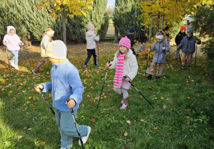 „Kijki w małych rączkach” – Nordic Walking dla przedszkolaków – gr. IV