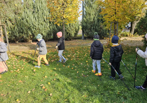 „Kijki w małych rączkach” – Nordic Walking dla przedszkolaków – gr. IV