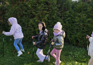 „Kijki w małych rączkach” – Nordic Walking dla przedszkolaków – gr. IV