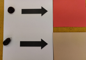 "Code Week" z robotem Photon - grupa IX