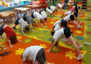 Dietetyk i Trener Personalny w grupie V