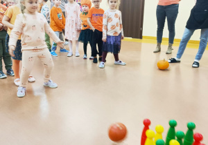 Dzień Dyni - zajęcia koleżeńskie w gr. XI i XII