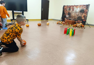 Dzień Dyni - zajęcia koleżeńskie w gr. XI i XII