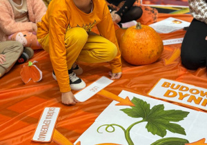 Dzień Dyni w grupie VI