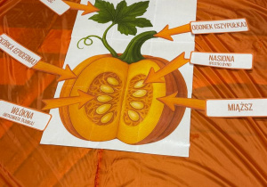 Dzień Dyni w grupie VI