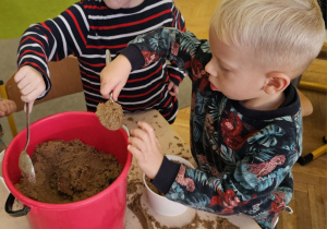 „Grzybowa przygoda” w grupie I