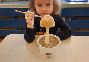 „Grzybowa przygoda” w grupie I