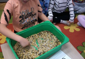 „Jesienna innowacja pedagogiczna” – grupa V – cz. II