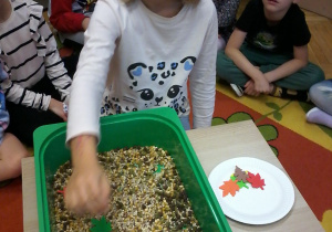 „Jesienna innowacja pedagogiczna” – grupa V – cz. II