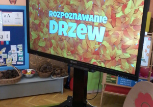 „Jesienna innowacja pedagogiczna” – grupa V – cz. II