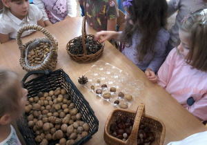 „Jesienna innowacja pedagogiczna” – grupa V – cz. II