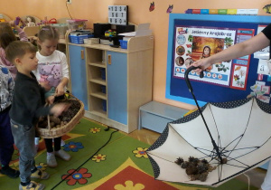 „Jesienna innowacja pedagogiczna” – grupa V – cz. II