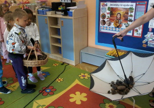 „Jesienna innowacja pedagogiczna” – grupa V – cz. II