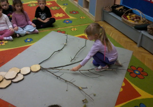 „Jesienna innowacja pedagogiczna” – grupa V – cz. II