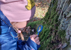 „Jesienna innowacja pedagogiczna” – grupa V – cz. II