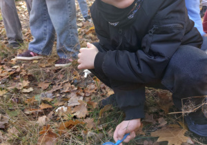 „Jesienna innowacja pedagogiczna” – grupa V – cz. II