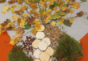 „Jesienna innowacja pedagogiczna” – grupa V – cz. II