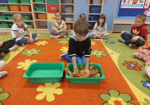 „Jesienna innowacja pedagogiczna” – grupa V – cz. II