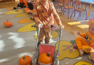 Zajęcia koleżeńskie "Na dyniowej grządce" w grupie II i VII