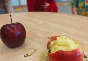 „przeMOC W RODZINIE”- czyli Ogólnopolska Kampania „Dzieciństwo bez przemocy”- gr. II