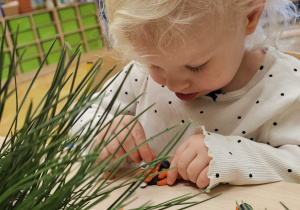 Projekt „Sensoryczna jesień” w grupie I maluszków