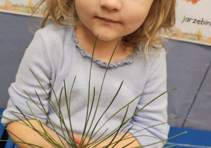 Projekt „Sensoryczna jesień” w grupie I maluszków