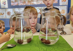 Projekt „Sensoryczna jesień” w grupie I maluszków