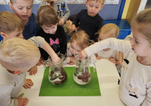 Projekt „Sensoryczna jesień” w grupie I maluszków